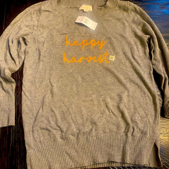 Loft Outlet Sweater. - Picture 1 of 3